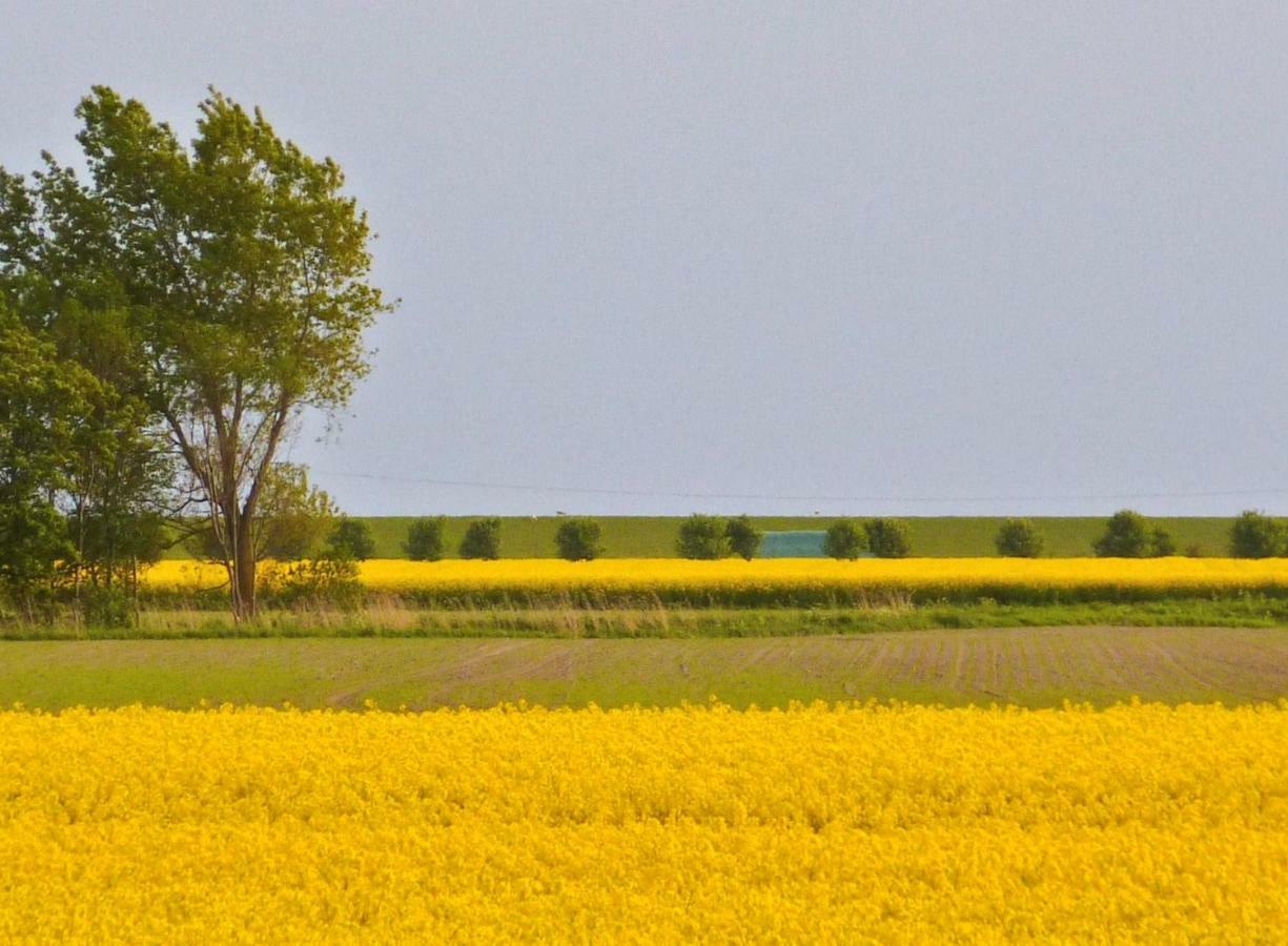 Wattenblick Бюзум Екстер'єр фото